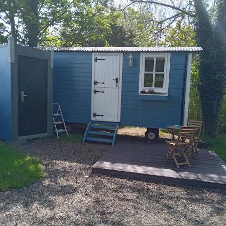 Westport Glamping At Doon Angus Farm Villa Eksteriør billede