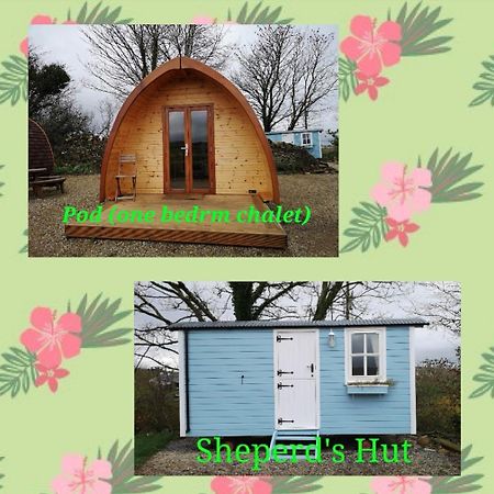 Westport Glamping At Doon Angus Farm Villa Eksteriør billede