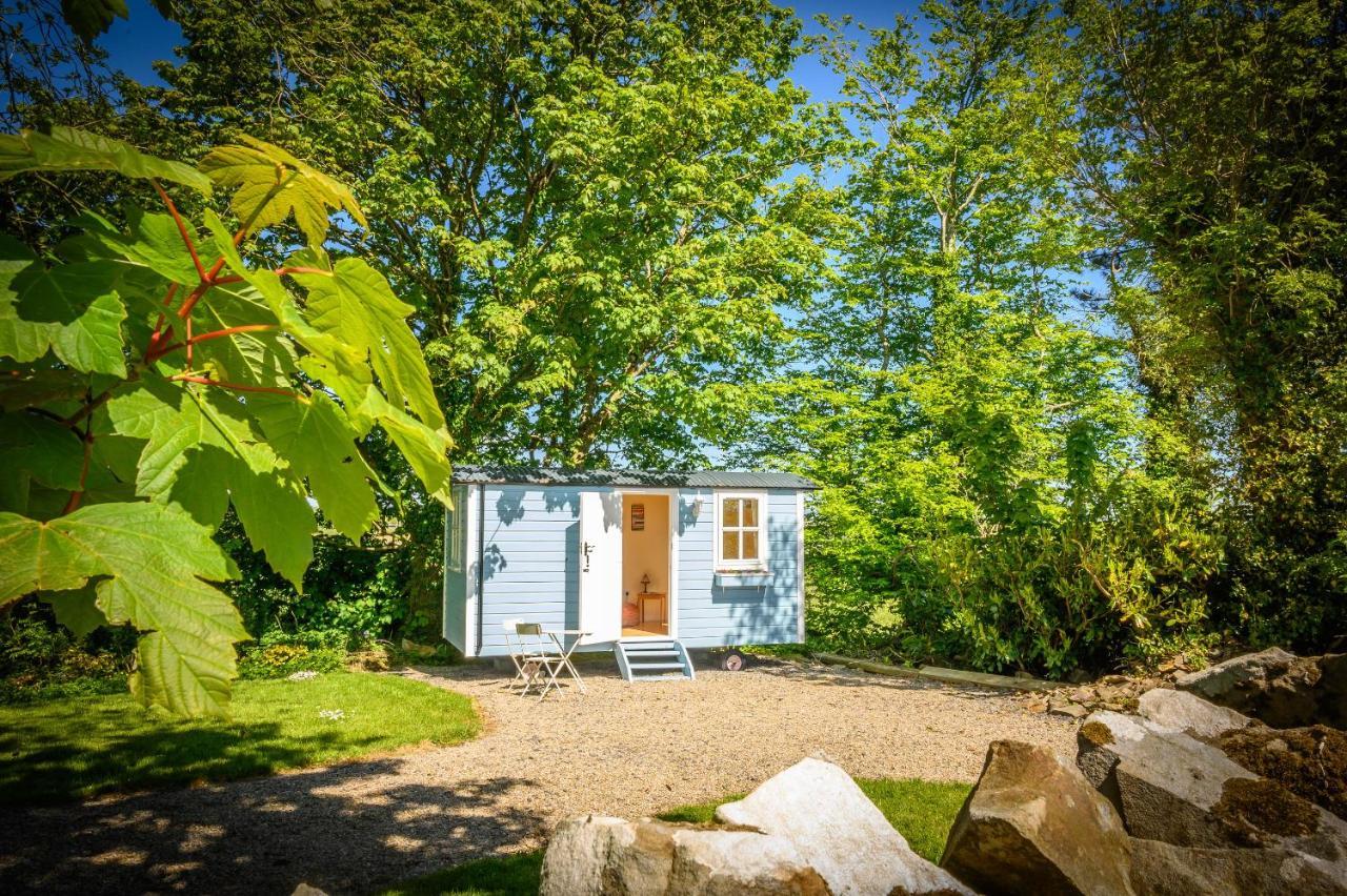 Westport Glamping At Doon Angus Farm Villa Eksteriør billede