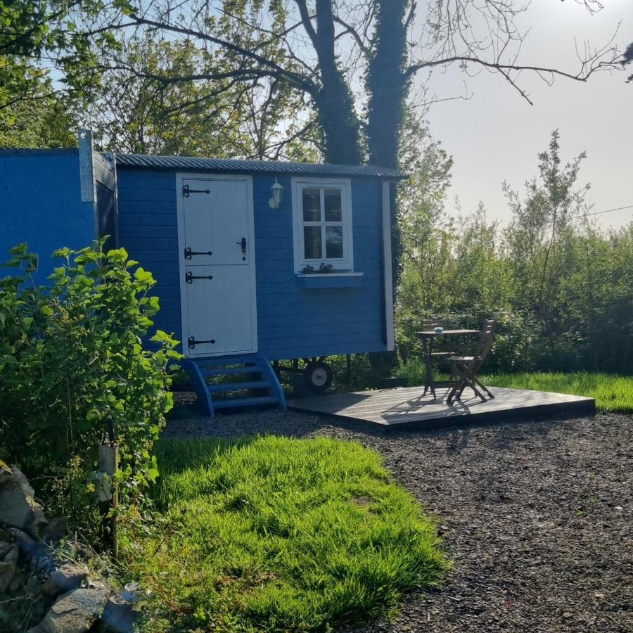Westport Glamping At Doon Angus Farm Villa Eksteriør billede