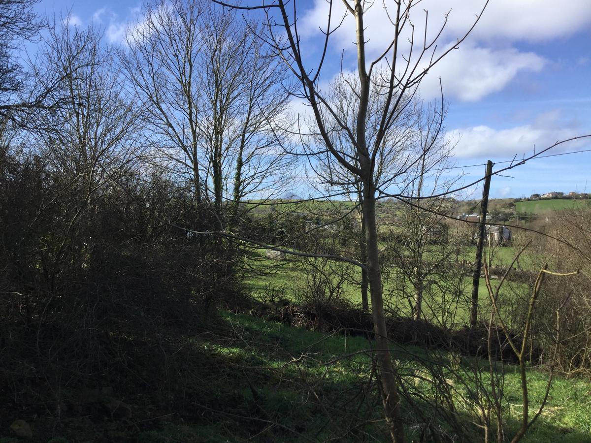 Westport Glamping At Doon Angus Farm Villa Eksteriør billede